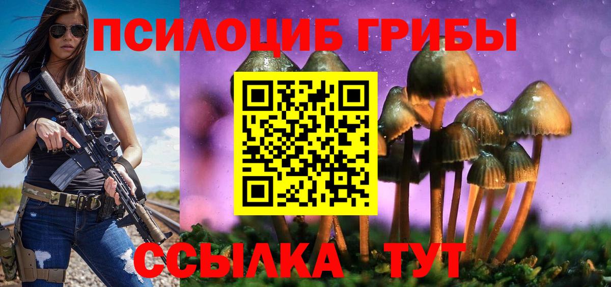 Верхняя Пышма  Галлюциногенные грибы GOLDEN TEACHER  Вход с VPN 