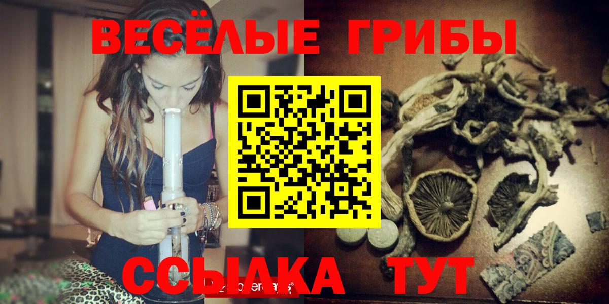Псилоцибиновые грибы Psilocybe Верхняя Пышма